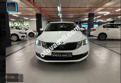 Skoda Octavia 2019 1.6 TDI Optimal