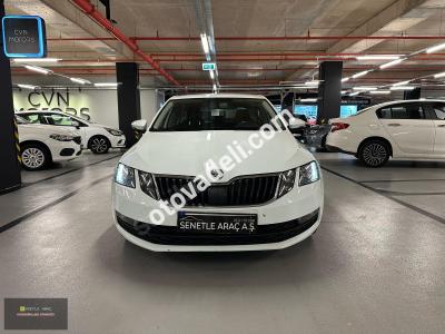 Skoda Octavia 2019 1.6 TDI Optimal